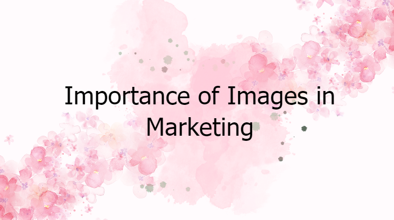 importance of images in marketing
